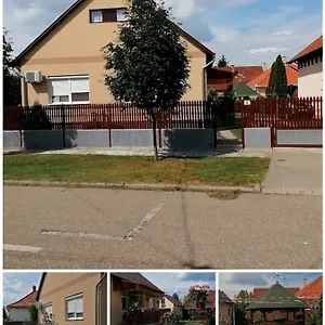 Pensjonat Vida Vendeghaz, Hajdúszoboszló